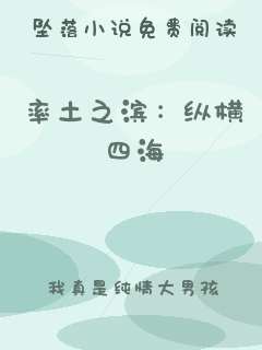 率土之滨：纵横四海